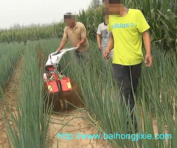 開溝成人深夜免费视频在大蔥地中的應用